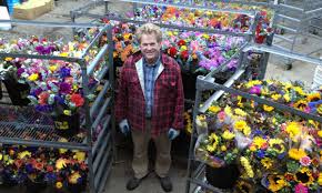 This cottage garden favorite is one of the easiest cut flowers to grow and can be direct seeded or. Cut Flower Harvesting Post Harvest Care A Guide From The Pros