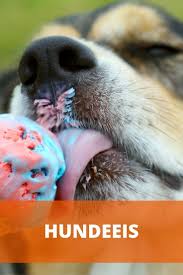 Durfen Hunde Eis Essen Fruchteis Wassereis Joghurt Eis Eiswurfel Eis Fur Hunde Hunde Snacks Eis Essen