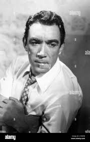 Quin Black and White Stock Photos & Images