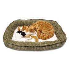 Luxurious pet bed, adoption certificate, collar with pet tag, comes with grooming brush included. Perfect Petzzz Huggable Porch Cat With 3 Kittens