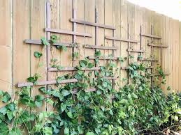 Maybe you would like to learn more about one of these? How To Add A Clematis Trellis To A Flat Fence The Handyman S Daughter