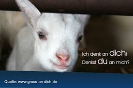 National best friends day) in den usa am 8. Stichwort Tag Der Freundschaft