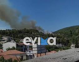 Κινητοποιήθηκαν επίγειες και εναέριες δυνάμεις. Fwtia Sth Limnh Eyboias Megalh Kinhtopoihsh Ths Pyrosbestikhs