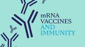 I would expect an mrna vaccine to be much less dangerous than traditional delivery methods, but i don't know if that's just because it hasn't been tested enough to even determine what the dangers. Ù„Ù‚Ø§Ø­Ø§Øª Ø§Ù„Ø­Ù…Ø¶ Ø§Ù„Ù†ÙˆÙˆÙŠ Ø§Ù„Ø±ÙŠØ¨ÙŠ Ø§Ù„Ù…Ø±Ø³Ø§Ù„ Mrna ÙˆØ¹Ù„Ø§Ù‚ØªÙ‡Ø§ Ø¨Ø§Ù„Ù…Ù†Ø§Ø¹Ø© Mayo Clinic Ù…Ø§ÙŠÙˆ ÙƒÙ„ÙŠÙ†Ùƒ
