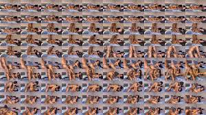 He fucked me into 2022 - XNXX.COM