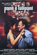 2000s movies., a compete list of movies from the 2000 Best Italian Movies 2000 2010 Imdb