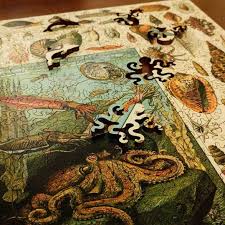 Varieties Of Molluscs Puzzle Crafts Wooden Jigsaw Puzzles Round Jigsaw Puzzles