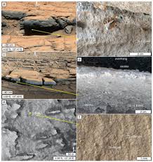 Image result for Light Sandstone 1986 Fleet