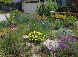 Pin On Backyard Garden