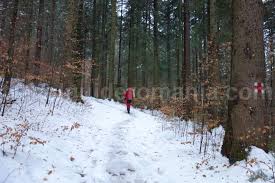 Deși nu este nici cea mai înaltă și nici cu debitul cel mai la cascada duruitoarea se poate ajunge relativ rapid din stațiunea durău. Muntii Ceahlau Trekking Pe Timp De Iarna Travelguideromania