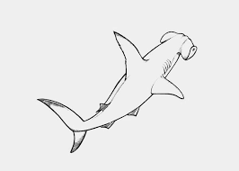 Hammerhead Shark Coloring Pages To Print Free Coloring Pages And Coloring Books For Kids Shark Coloring Pages Coloring Pages To Print Coloring Pages For Kids