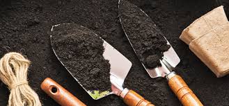 Starting mix and potting mix are often made from perlite and peat. How To Make The Best Potting Mix For Starting Seeds