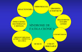 Texto completo cómo citar este . Una Vida Con Disautonomia La Disautonomia Afecta Mas Al Genero Femenino Y Es Muy Dificil De Diagnosticar