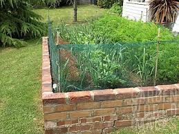 Raised Bed Vegetable Garden Vegetable Garden In Brick Raised Bed Asset Details Garden World Brick Raised Beds Garden Beds Brick Raised Garden Beds