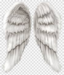 Angel Wings Clip Art Black And White Pair Of White Wings Cherub Wing Angel Angel Wings Transparent Background Png Clipart In 2020 Angel Wings Png Angel Wings Art Wings Wallpaper