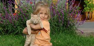 We are state licensed by the pennsylvania fish & wildlife. Animal Control Strays Licenses Spay Neuter Pittsburghpa Gov
