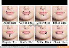 Double lobe piercings can also be a great way to get into multiple piercings without going all out. 28 I Really Want Angel Bites 3 Ideas Angel Bites Piercings Piercing Tattoo