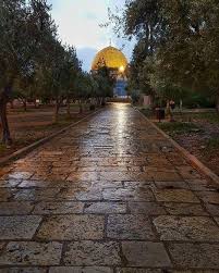aqsa tv قناة الأقصى الفضائية on instagram صباح يوم جديد في المسجد الأقصى المبارك ساحات المسجد الاقصى dome of the rock islamic pictures islamic paintings