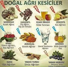 arzu kula adli kullanicinin nefes panosundaki pin saglik saglikli beslenme