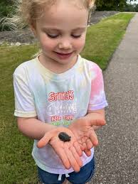 Suffolk County MA fish species identification needed