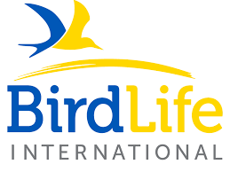 Reconocimiento Internacional