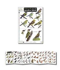 Field Guide To The Top 50 Garden Birds Laminated