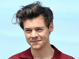 With hair still damp and with natural texture, scrape the hair back and up. Harry Styles Cut His Hair Short See Harry S New Hairstyle