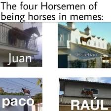 Meme memes culiacan culiacán sinaloa mexico méxico follow @memesculiacan @memes. The Four Horsemen Of Being Horses In Memes Juan