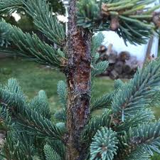 Check spelling or type a new query. What S Going On With My Norway