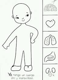 Https S Media Cache Ak0 Pinimg Com Originals Da 23 E0 Da23e04912841cc08c0b5ffeed63f0de Jpg Vucut Kesimleri Okul Oncesi Okul