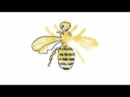 Maybe you would like to learn more about one of these? Queen Bee Or Honey Bee Drawing Time Lapse 2d Animation Bee Drawing 2d Animation Honey Bee Drawing