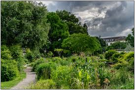Botanischer garten der universität basel. Im Botanischen Garten Der Uni Basel Foto Bild Europe Schweiz Liechtenstein Pflanzen Pilze Flechten Bilder Auf Fotocommunity