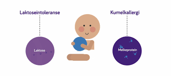 Pepticate Kumelkallergi Nutricia