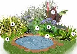 massifs autour de bassins de jardin bassin de jardin decoration bassin amenagement jardin bassin