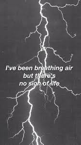 Cage The Elephant Cold Cold Cold Cage The Elephant Cold Cold Cold Lyrics Cage The Elephant Elephant Quotes Elephant Wallpaper