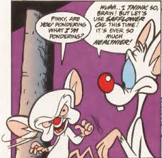 Maybe you would like to learn more about one of these? Are You Pondering What I M Pondering Pinky And The Brain Wiki Fandom