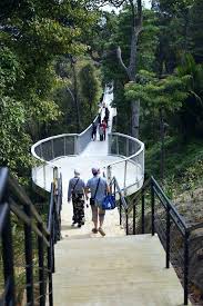 Soon after, sunset walks were introduced. New Ribbon Bridge Located 700m Above Sea Level Opens In The Habitat Penang Hill World Of Buzz