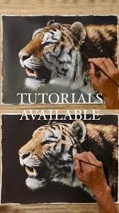 Carla Grace • 300+ reels on Instagram