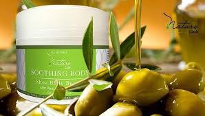 For Skin That Feels Smooth Soft Enjoy This Heavenly Light Weight Soothing Body Butter With Organic A Organic Aloe Vera Organic Olive Oil Natural Ingredients