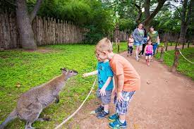 Camels are best known for. Roger Williams Park Zoo Number One Attraction In Rhode Island Rhode Island Monthly