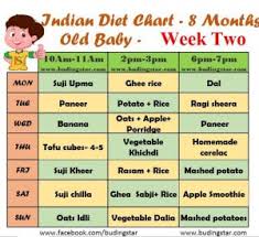 diet plan for 6 month old baby