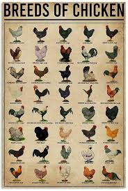 Dylan Cumbo (cumbody)