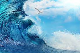 We did not find results for: Hd Wallpaper White Bird And Ocean Waves Digital Wallpaper Sea Water The Ocean Wallpaper Flare