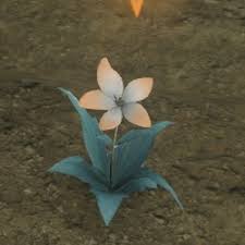 Carnations, daisies, irises, lilies, orchids, roses, sunflowers Nier Replicant 2021 Moonflower Cultivation Guide