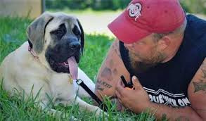Our board & train packages are americank9 has spent years developing our board & train model. Off Leash K9 Training Of Green Bay Dog Obedience Training