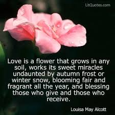 Some think love can be measured by the amount of butterflies in their tummy. Quotes About Flower Love 112 Quotes
