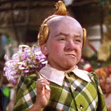 The Wizard Of Oz The Last Munchkin And The Little People Left Behind The New Yorker The sugar loaf munchkin doll was great!! the wizard of oz the last munchkin