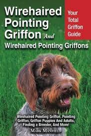 Jul 11, 2021 · free hunting dog classifieds for the upland bird hunter and wetland waterfowl hunter. Wirehaired Pointing Griffon And Wirehaired Pointing Griffons Your Total Griffon Guide Wirehaired Pointing Griffon Pointing Griffon Griffon Puppies And Adults Finding A Breeder More Manfield Mark 9781911355182 Books Amazon Ca