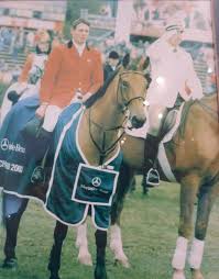 4 horse classifieds found for buckskin horses for sale.browse buckskin horses for sale ads and find a horse on equirodi.co.uk. Carl Edwards Stableexpress