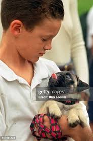 27 Dennis Loomis Stock Photos, High-Res Pictures, and Images